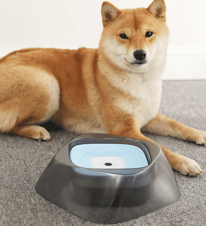 Splashguard Pet Water Bowl